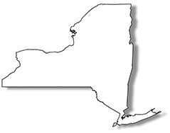 NY state icon